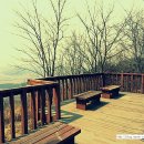 초록산 산림욕장 2 네이버블로그