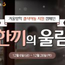 씨제이영 이미지