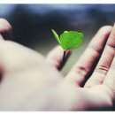 세컨드브레인 이미지