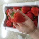 상평농장 이미지