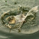 지곡낚시터 이미지