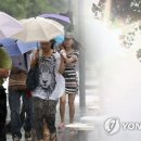 뚜레쥬르포항 이미지
