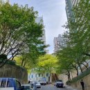 목화세차장 이미지