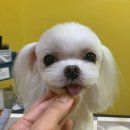온블리살롱 | 서울 도봉구 온블리살롱, 가는법, 후기, 리뷰
