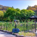 대아수목원&대아호 이미지