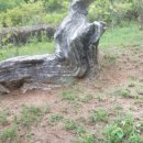 청심병원 이미지