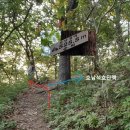 청풍천 Daum카페