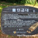 세븐일레븐 충주탄금대로점 | 충북 충주 자연명소 추천 4곳 산책과 드라이브 즐기기 좋은 여행지