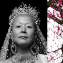 해탈, 그 이후의 이미지