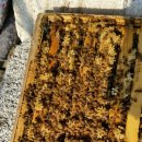 소망농장 이미지