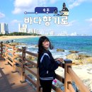 바다향기로 | 속초 바다 산책 코스｜외옹치항 바다향기로 산책로 걸어보기