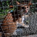 다산 봄 동물병원 이미지