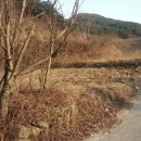 함안땅공인중개사사무소 이미지