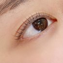브롱뷰티샵 속눈썹펌 부산동래점 이미지