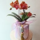 영전농장 이미지