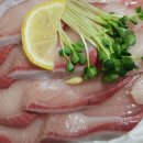 동해안세꼬시 이미지