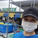 청솔민박 | 청산포 해수욕장 해루질 체험[뉴픽]