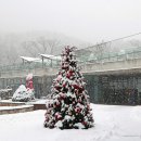 신구대학교 식물원 갤러리 우촌 이미지