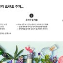 민텔컨설팅