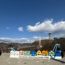 [강원 철원] 고석정 근처 가볼만한곳 한탄강 은하수교와 횃불전망대 아찔한 후기
