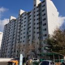 01-80 동구 이미지