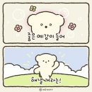 좋은예감