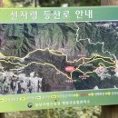 다온국사랑
