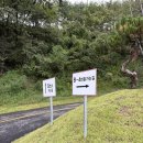 골드리버 cc 이미지