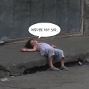 OCI 군산노동조합 | 2026 상반기 결산 (여름의 끝자락으로 달려가자)