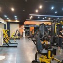 다부짐휘트니스 이미지