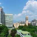 세종대학교 이미지