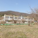 임고초등학교 금대분교장 이미지