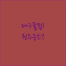 자바호텔(문막점) | 대구 북대구램프 동대구역 도보 여행과 원주 숙소 5곡 후기 분석
