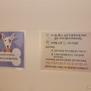 댕굴댕굴 네이버블로그