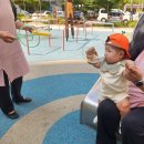 데굴데굴 이미지