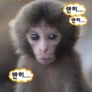 모에모에마츠리