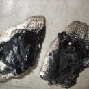 통일카맨샵 이미지