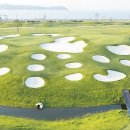 필드스크린골프 이미지