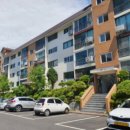 싸리말로 이미지