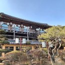 백년전통찻집 이미지