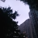 해뜸이야기 이미지