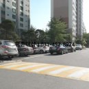 무궁화건영 이미지