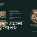 킹덤렌트카 | 타이거킹덤 푸켓 치앙마이 호랑이 체험 가격 예약 완벽정리