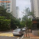상대촌천 네이버블로그