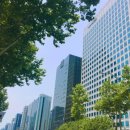 오늘도 맑개 이미지