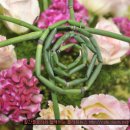 화훼장식기능사 이미지