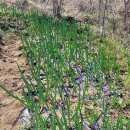 광주농장 이미지