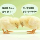 보람당구장 이미지