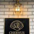 치너스(CHEENUS)