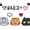 소요육면가 네이버블로그
